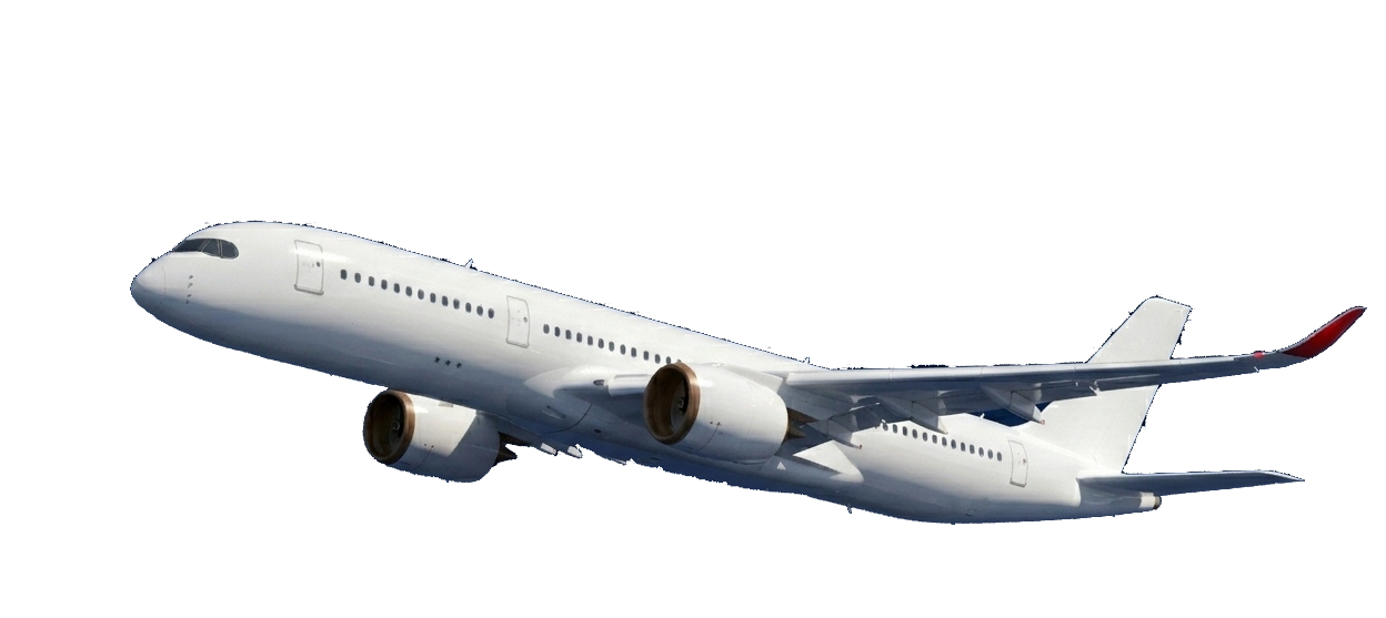 Travel Consultancy